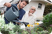 Petits travaux jardinage